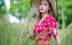 丁冬影视 理论片